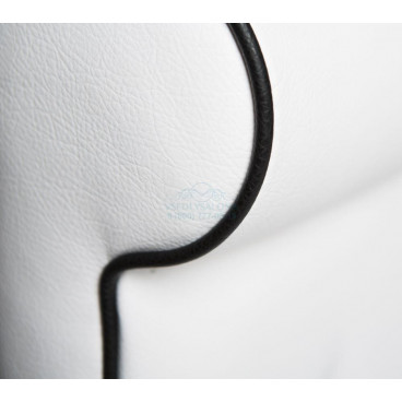 Парикмахерское кресло &quot;CAMELIA&quot;