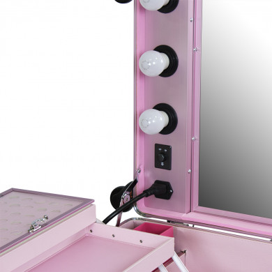 Мобильная студия визажиста &quot;VZ-210&quot;