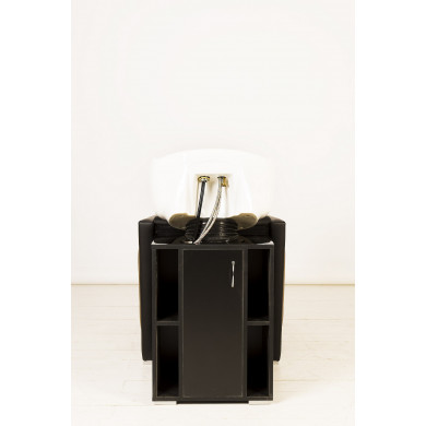 Парикмахерская мойка &quot;Гармония II&quot;